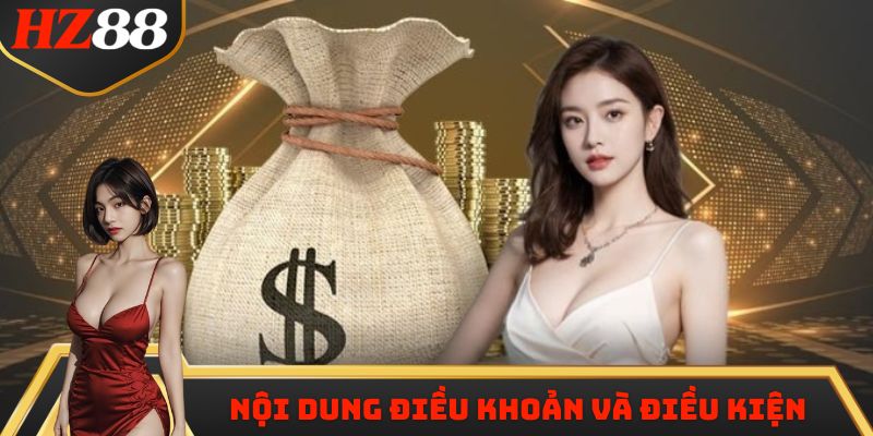 Những điểm cần nắm tại chính sách điều khoản và điều kiện